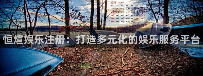卧龙娱乐登录入口：恒煊娱乐注册：打造多元化的娱乐服务平台