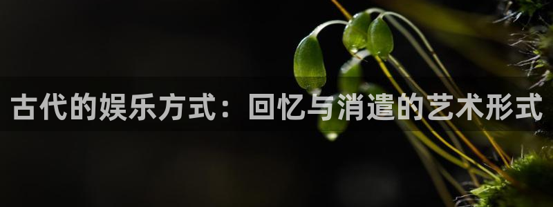 卧龙娱乐登录入口：古代的娱乐方式：回忆与消遣的艺术形式