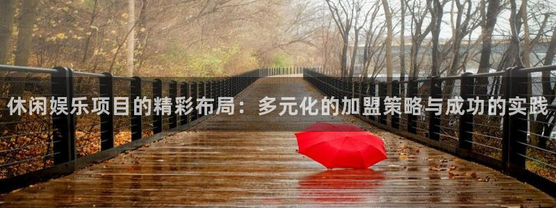 卧龙娱乐怎么样：休闲娱乐项目的精彩布局：多元化的加盟策略与成功的实践