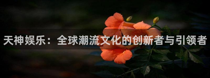 卧龙娱乐怎么样：天神娱乐：全球潮流文化的创新者与引领者