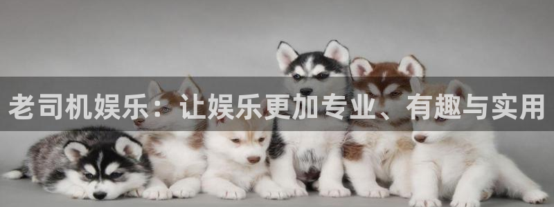 卧龙娱乐怎么样：老司机娱乐：让娱乐更加专业、有趣与实用