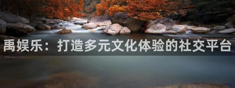卧龙娱乐怎么样：禹娱乐：打造多元文化体验的社交平台